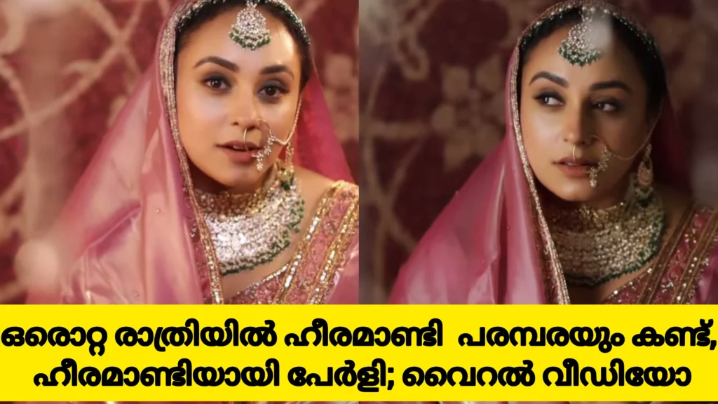 Pearle Maaney Heeramandi Theme Photoshoot.